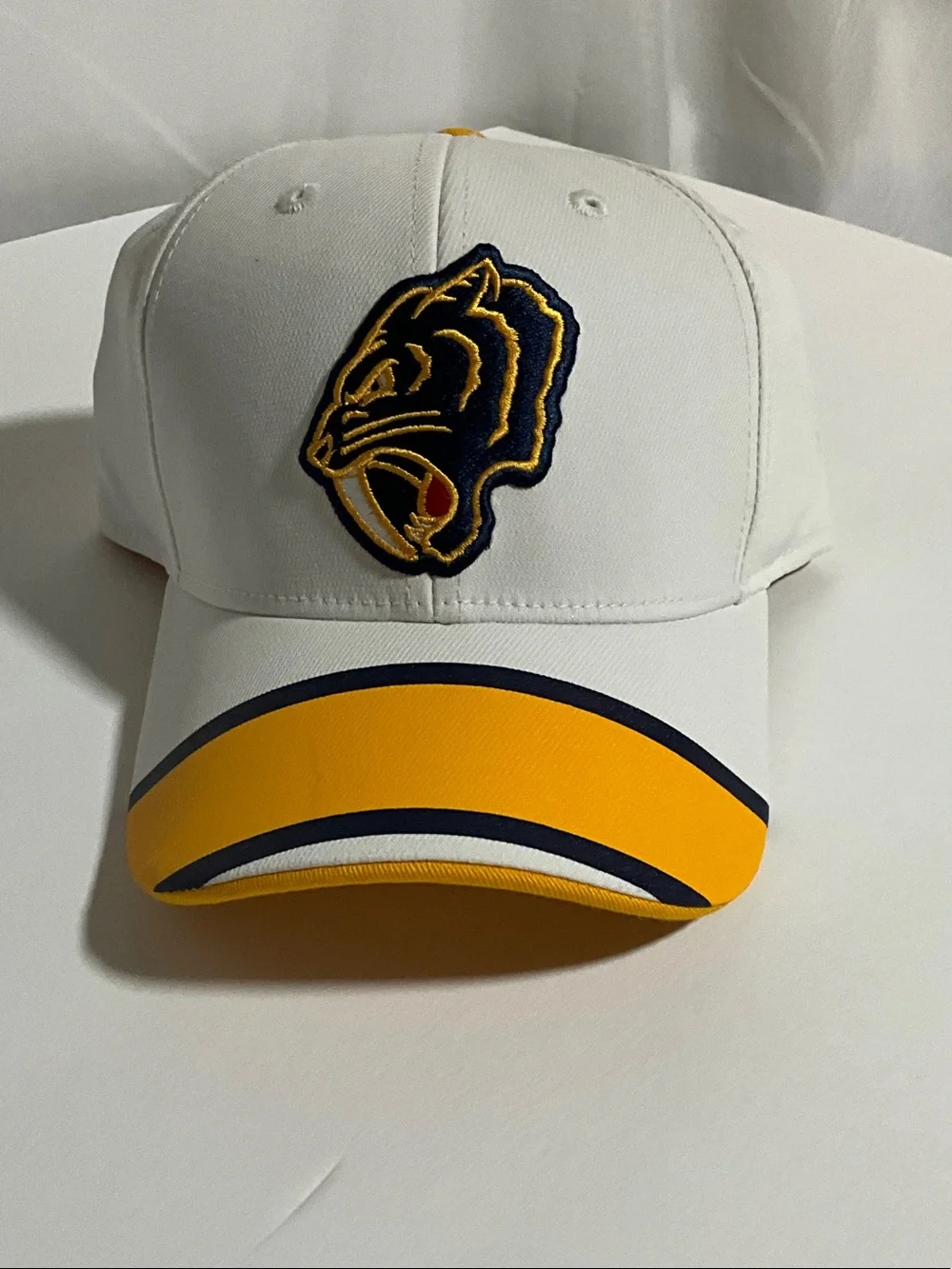 NHL Nashville Predators Winter Classic 2020 Cap Size Youth NWOT